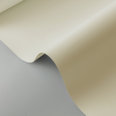 Stores Enrouleurs Sur Mesure Thermiques & Imperméables avec Coffre - Teinte Beige